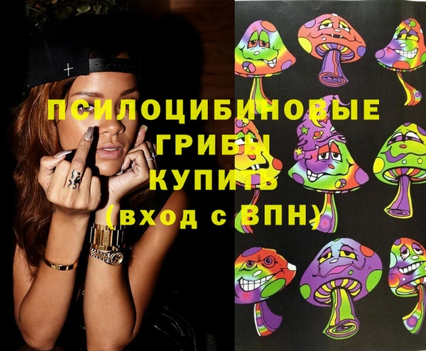 ешки Елизово